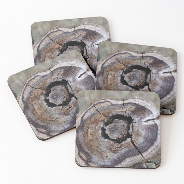Item preview, Photography close up of a tree trunk designed and sold by PM-Artistic.