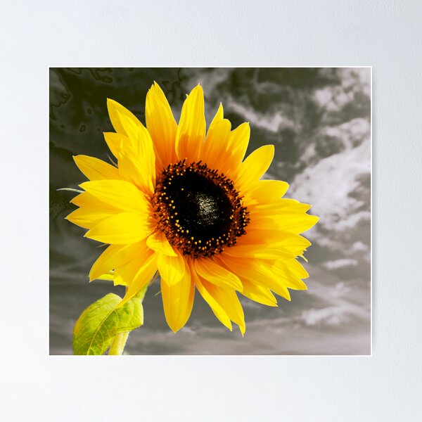 Item preview, Hope against the background of life designed and sold by Paul Rumsey.