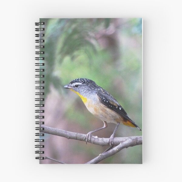 Item preview, Looking for Me...?  (Spotted Pardalote) designed and sold by Meg Hart.