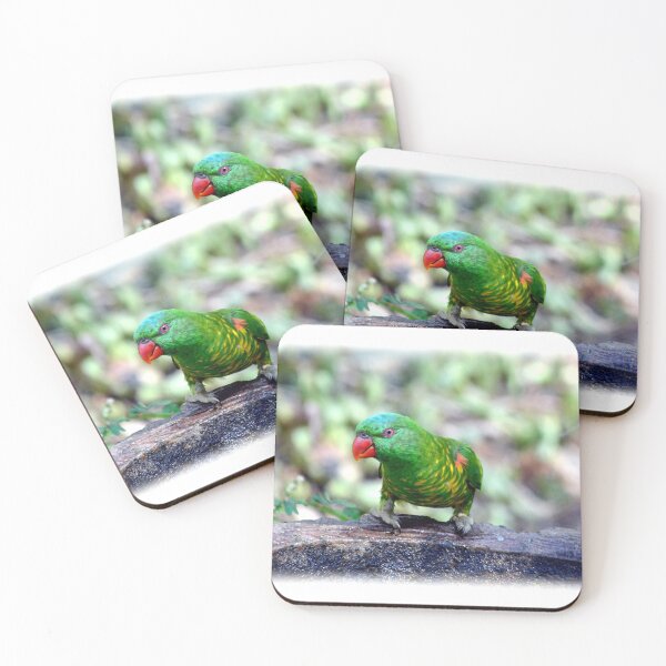 Item preview, © Scaly-breasted lorikeet, Colours of Christmas designed and sold by GeoPipics.