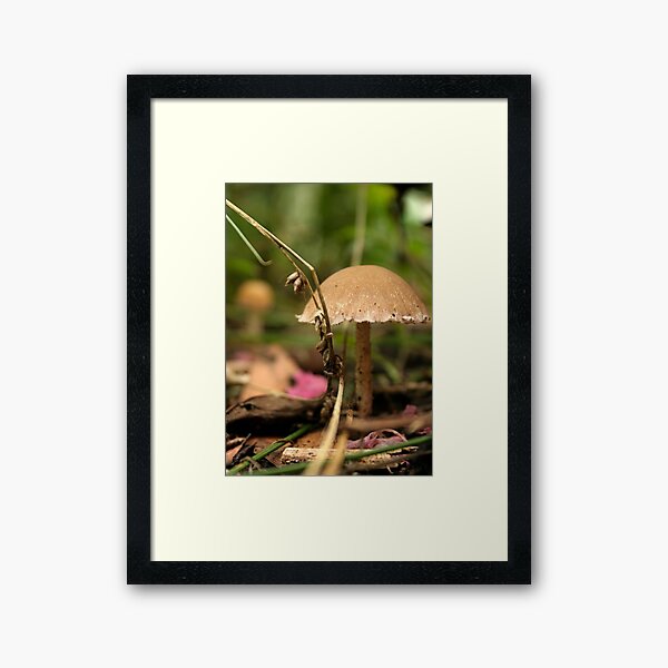 Mushroom Framed Art Print