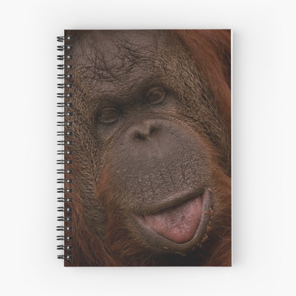 Item preview, Orangutan Close-Up designed and sold by rawshutterbug.
