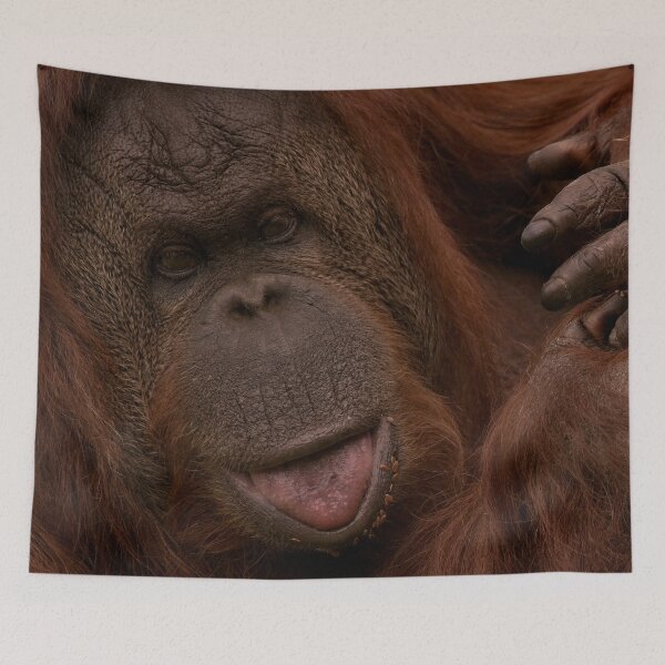 Item preview, Orangutan Close-Up designed and sold by rawshutterbug.