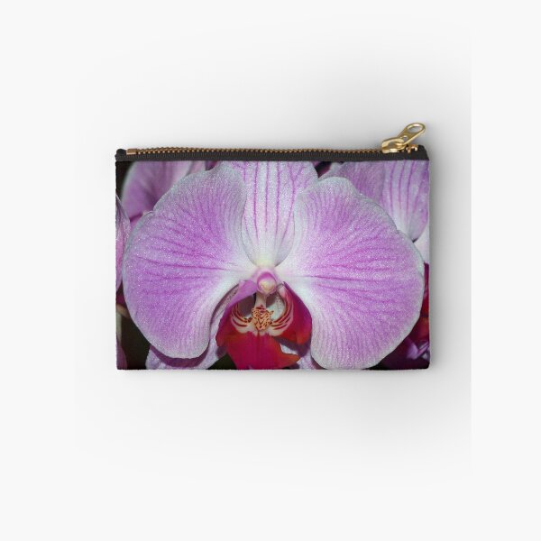 Item preview, The Orchid - Phal ‘Elegance’ designed and sold by Clive.