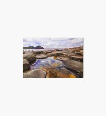 The Giant's Causeway, Ireland. (Painting) Art Board