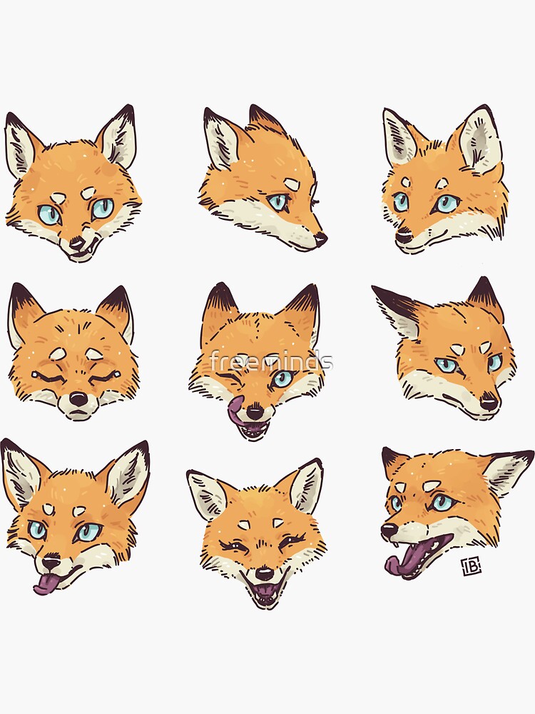 мимика лиса. мимика лиса. фырк фырк. лиса. тибетский лис фото на заставку.