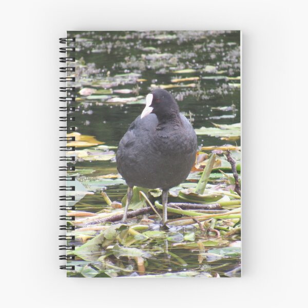 Item preview, coot designed and sold by Catherine48.