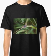 Brown Argus Butterfly Classic T-Shirt