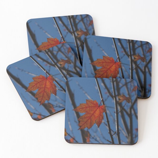 Item preview, Almost Over - The Last Red Maple Leaves designed and sold by Georgia Mizuleva.