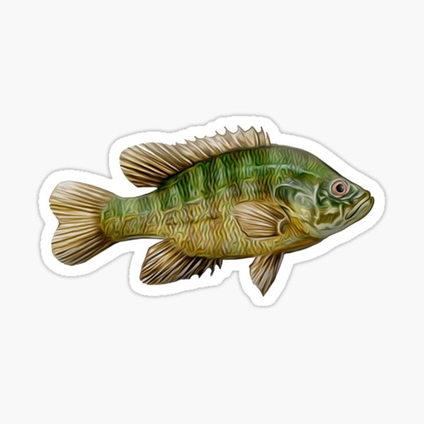 Vista previa del artículo con la obra «Pescado», diseñado y vendido por oz10.