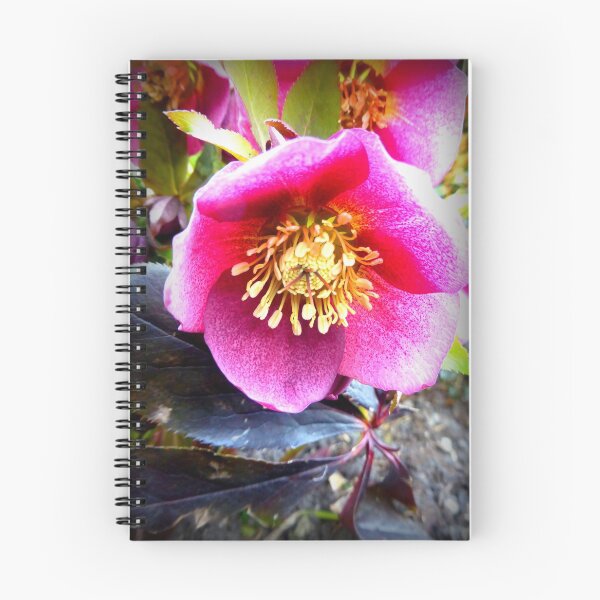 Item preview, Christmas Rose designed and sold by angel1.