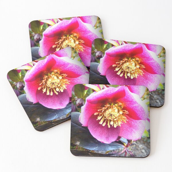 Item preview, Christmas Rose designed and sold by angel1.