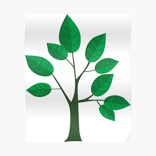 sapling young tree Poster