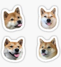 Pegatina Paquete de pegatinas de Shiba Mlem