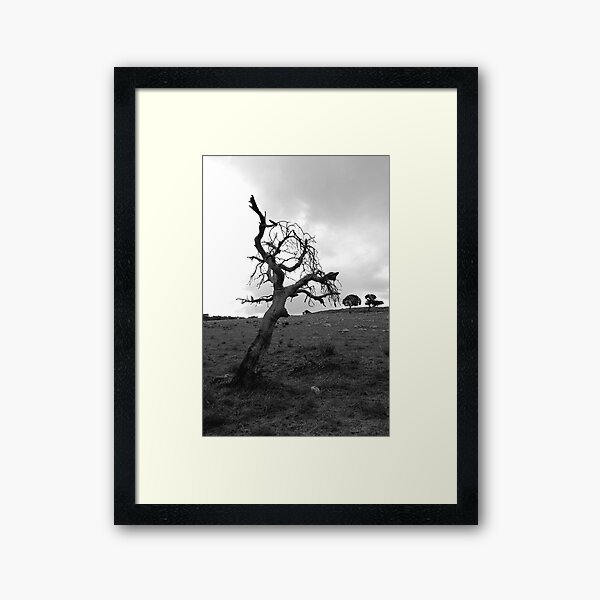 last trees Framed Art Print