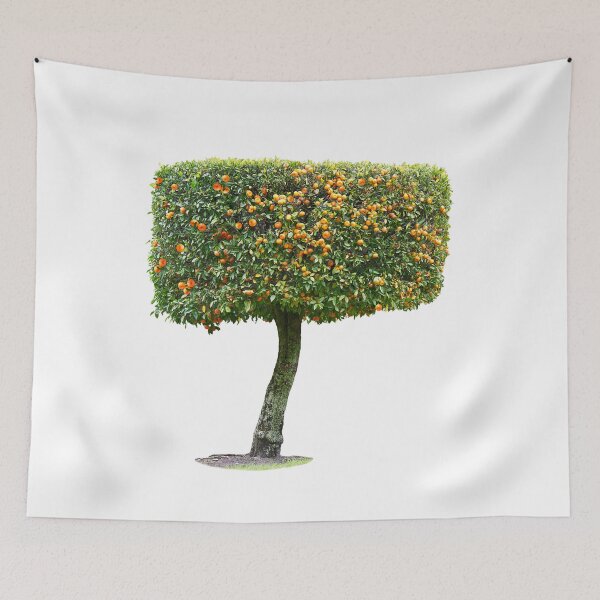 Item preview, Decorative mandarine tree isolated on white background designed and sold by svetlanna.