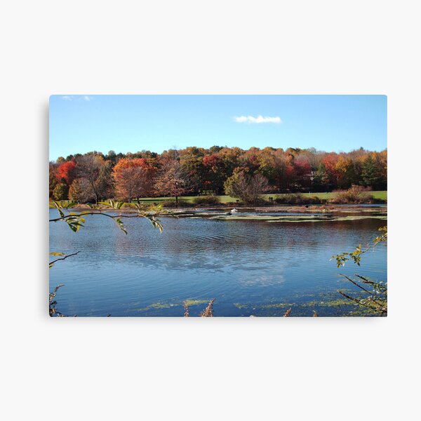 Item preview, Loantaka Pond NJ designed and sold by Monica M Engeler.