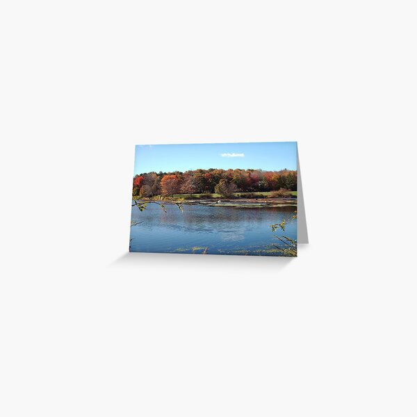 Item preview, Loantaka Pond NJ designed and sold by Monica M Engeler.
