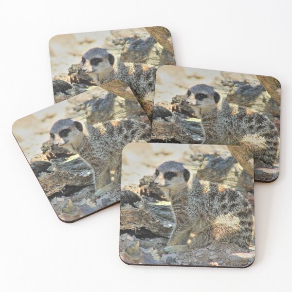 Item preview, Sitting in the Shade designed and sold by Vicki Spindler (VHS Photography).