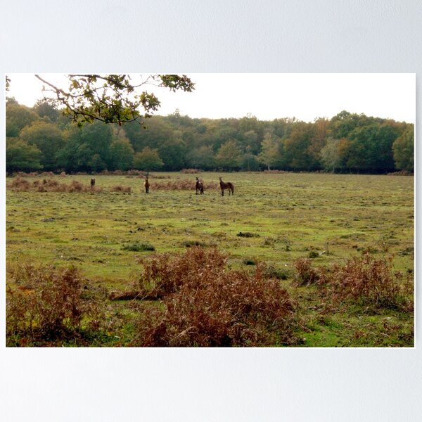 Item preview, New Forest Ponies designed and sold by Gordon Hewstone.