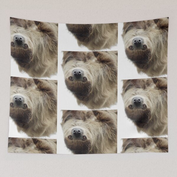 Item preview, Sloth designed and sold by Lorna Mulligan.