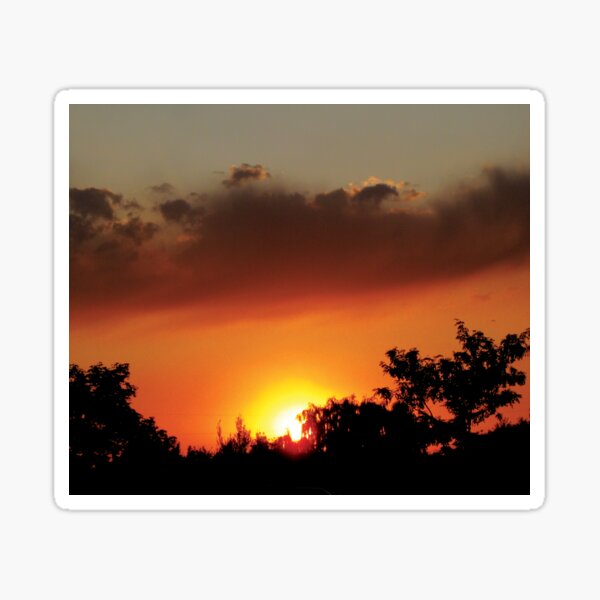 Sunset Peeking Through the Trees by Jerald Simon (Music Motivation - musicmotivation.com) Sticker