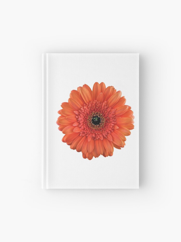 Cuaderno de tapa dura «Gerbera Naranja Margarita Flor Floral» de wasootch |  Redbubble