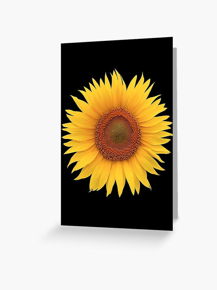 Tarjetas de felicitación «girasol flor floral amarillo naranja centro» de  wasootch | Redbubble