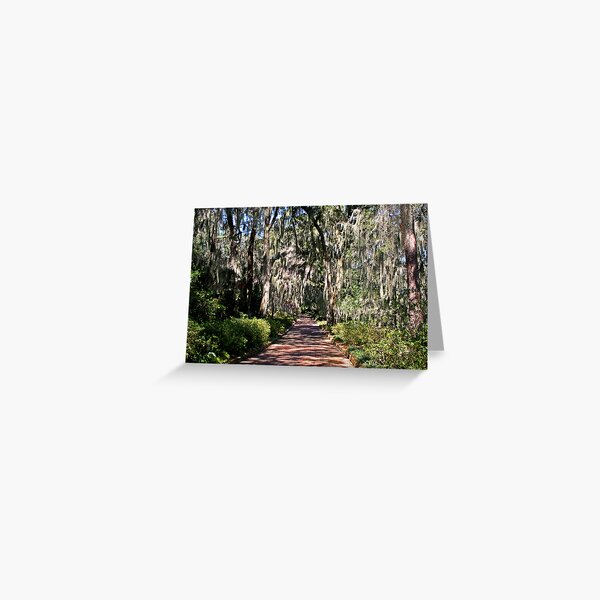 Item preview, Path through Spanish Moss designed and sold by Peggy Berger.