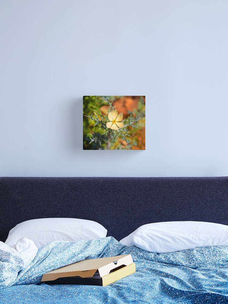 Thumbnail 1 of 3, Canvas Print, Warrumbungle Weed designed and sold by Richard Windeyer.