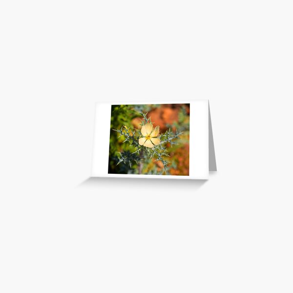 Warrumbungle Weed Greeting Card