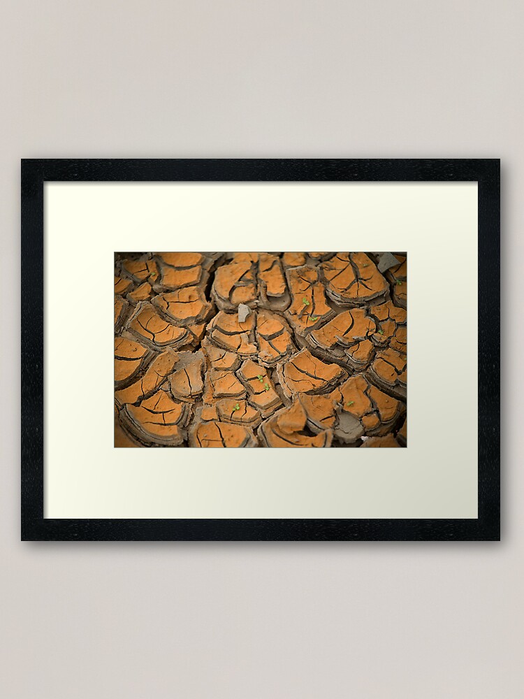 Alternate view of Darling River Drought Framed Art Print