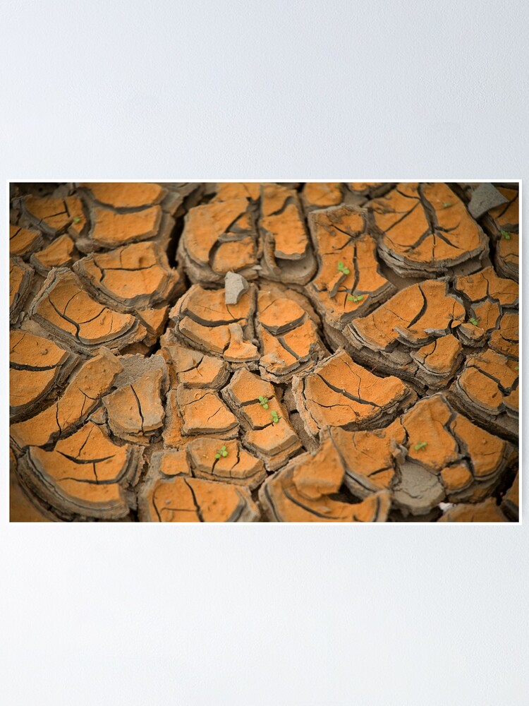 Alternate view of Darling River Drought Poster