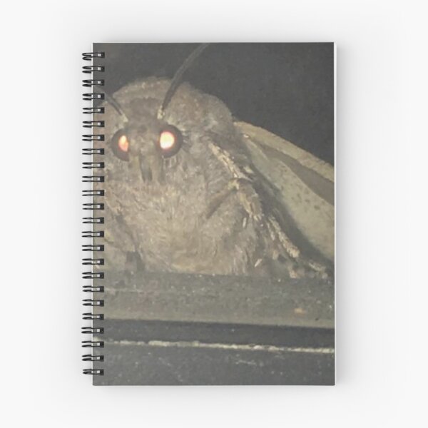 Item preview, moth meme designed and sold by jpontzius.