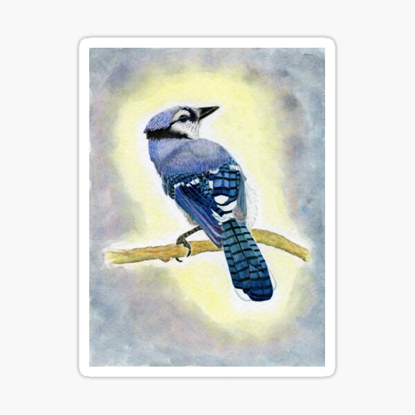 Bluejay Watercolor Painting Sticker