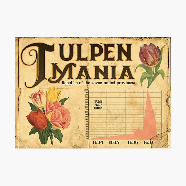 Tulpen Mania Photographic Print