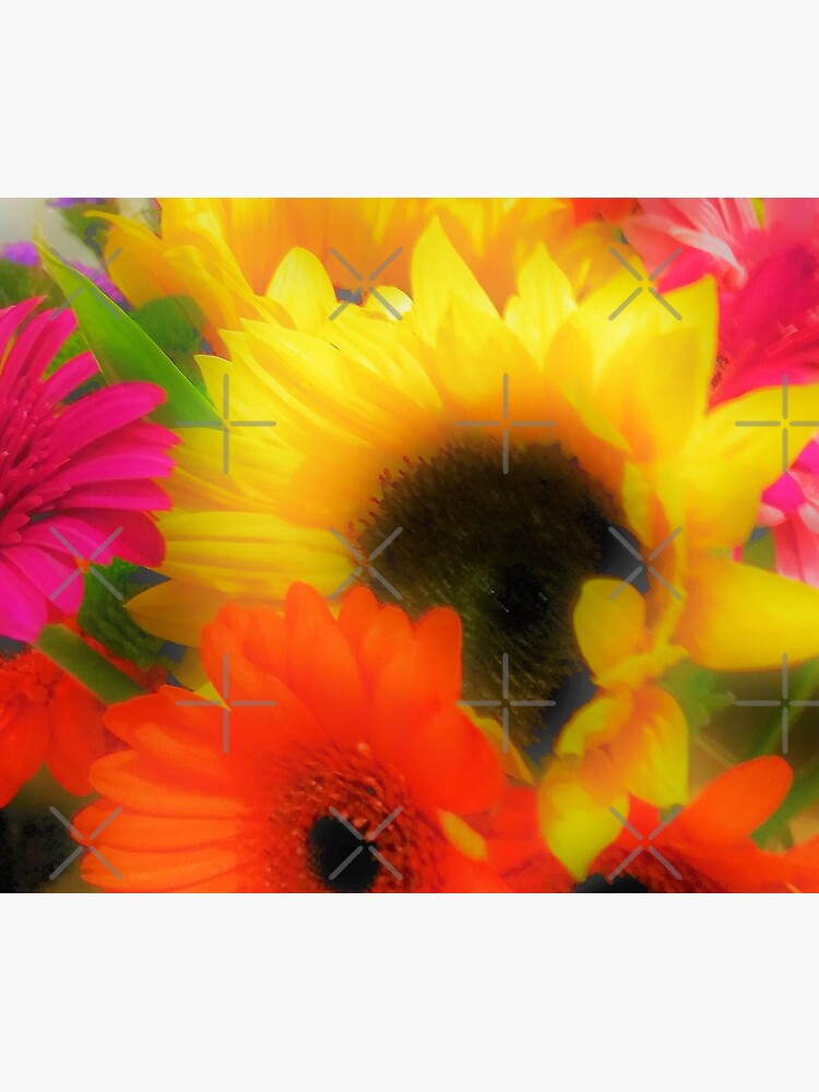 Tarjetas de felicitación «Diversión floral: amamos las gerberas y los  girasoles suaves y acogedores» de ellenhenry | Redbubble