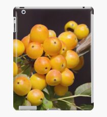 Obst iPad-Hülle & Klebefolie