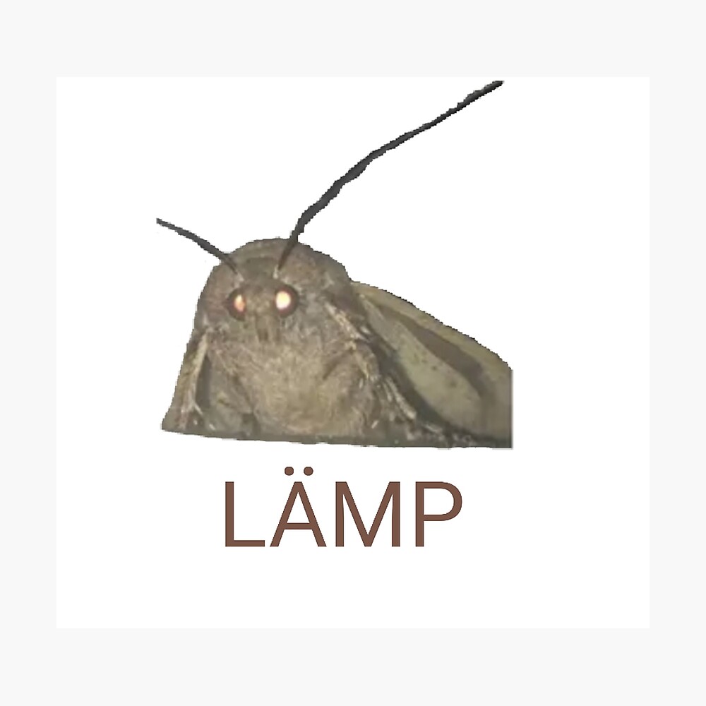 Lämp meme