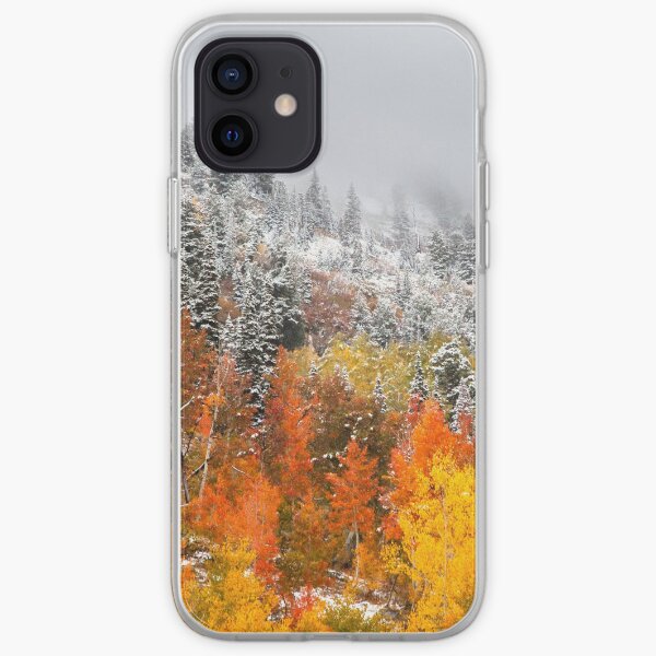 Fall to Winter, Utah, Autumn, Winter, By DAM Creative iPhone Soft Case