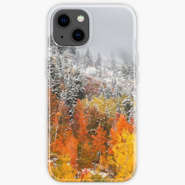 Fall to Winter, Utah, Autumn, Winter, By DAM Creative iPhone Soft Case