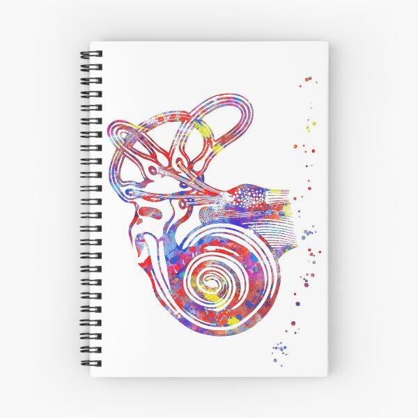 Artikelvorschau, Ohranatomie, Innenohr, Cochlea-Histologie, Vestibularsystem-Struktur, Audiologie entworfen und verkauft von Rosaliartbook.