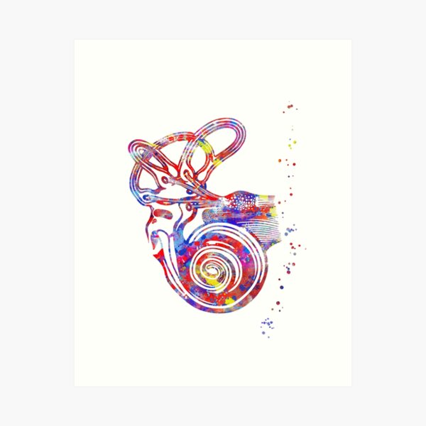 Item preview, Ear anatomy, Inner ear, Cochlea Histology, Vestibular System Structure, Audiology designed and sold by Rosaliartbook.
