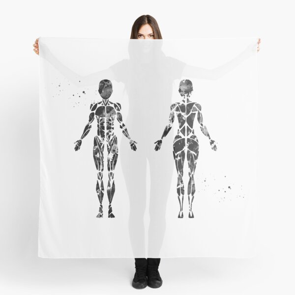 Panuelos Sistema Muscular Redbubble - muscles y musculos roblox