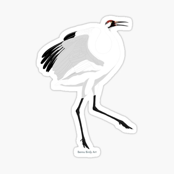 Whooping Crane (Support the International Crane Foundation) Sticker