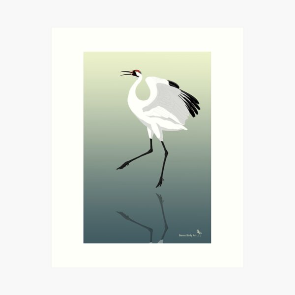 Item preview, Whooping Crane (Support the International Crane Foundation) designed and sold by BennuBirdy.