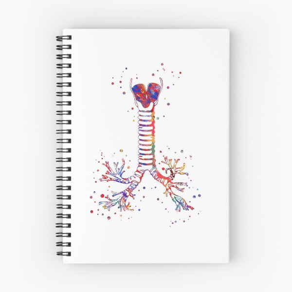 Item preview, Windpipe, windpipe anatomy designed and sold by Rosaliartbook.