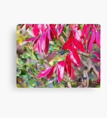 Autumn Canvas Print