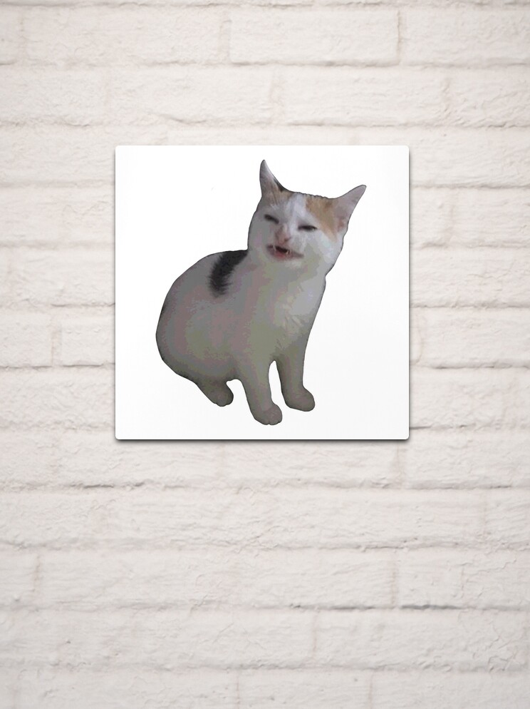 Angry cat aluminium wall art print