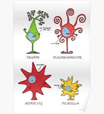 Meet your brain cells! - TALL Poster